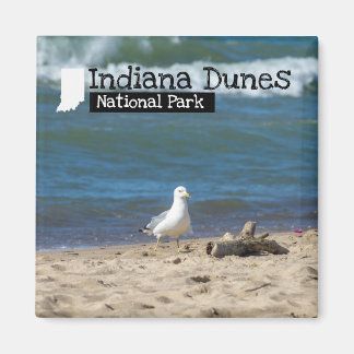 Custom Foto - Indiana Dunes National Park Magnet