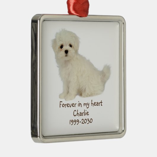 Custom Foto Memorial Keepake Pet Dog Metal Orn Ornament Aus Metall (Rechts)