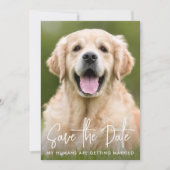 Custom Foto Moderne, einfache Elegante Haustier Ho Save The Date (Vorderseite)