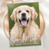Custom Foto Moderne, einfache Elegante Haustier Ho Save The Date