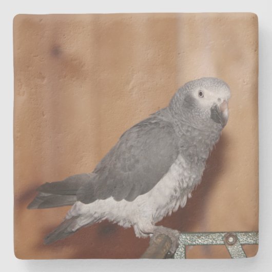 CUSTOM FOTO UNTERSETZER (Vorderseite)