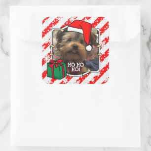 Custom Foto Weihnachts-Weihnachtsmannmütze Pet HO Quadratischer Aufkleber