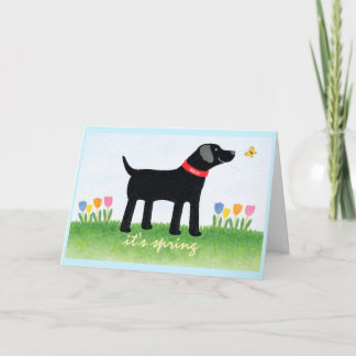 Custom Funny Black Dog Spring Greeting Card Karte