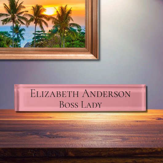 Custom Funny Boss Lady Small Business Owner Namensplakette