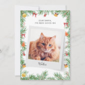 Custom Funny Pet Cat Liebe Weihnachten (Vorderseite)