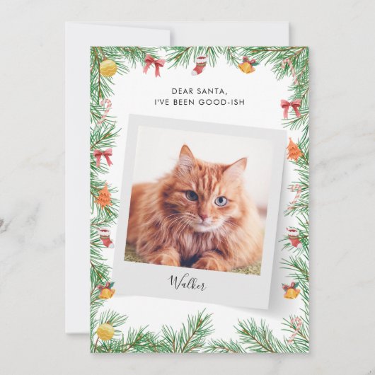 Custom Funny Pet Cat Liebe Weihnachten (Vorderseite)