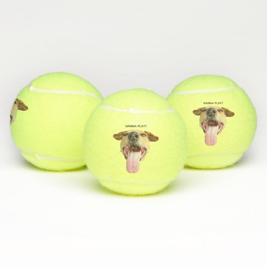 Custom Funny Wanna Play Dog Tennisbälle (Multi)