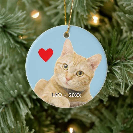 Custom Ginger Tabby Cat Foto auf Light Blue Keramik Ornament (Baum)