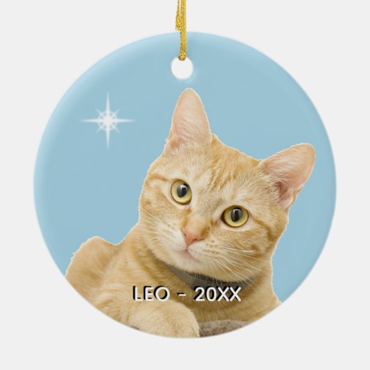 Custom Ginger Tabby Cat Foto auf Light Blue Keramik Ornament (Hinten)
