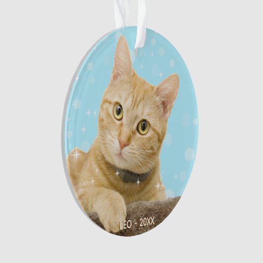 Custom Ginger Tabby Cat Foto Ornament (Vorderseite)
