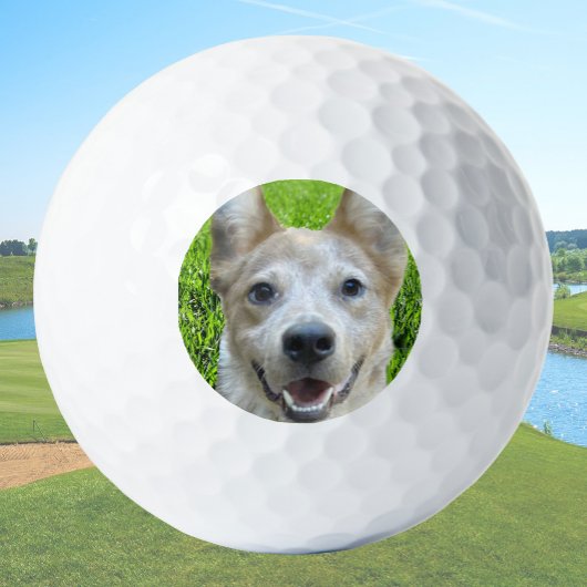 Custom Golf Balls With Dog Picture Create Your Own Golfball