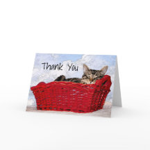 Custom Gray Kitten Schlafen in Red Basket Foto