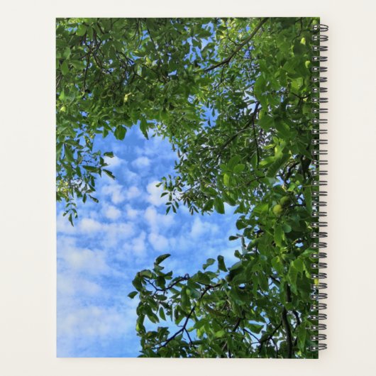 Custom Green Blätter Blue Sky Tree Crown Foto - Planer (Rückseite)