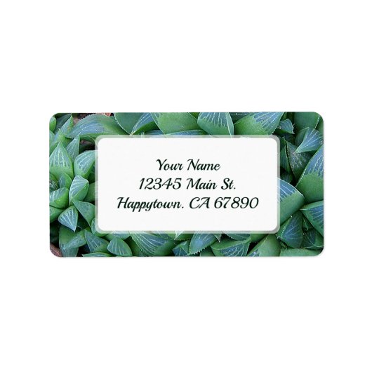 Custom Green Haworthia Succulent Pflanze Address Adressaufkleber (Vorne)
