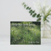 Custom Greetings from Latvia Wildflower Photograph Postkarte (Stehend Vorderseite)