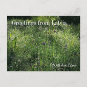 Custom Greetings from Latvia Wildflower Photograph Postkarte (Vorderseite)