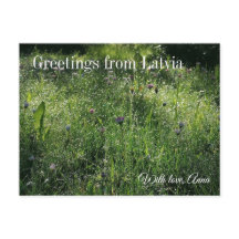 Custom Greetings from Latvia Wildflower Photograph