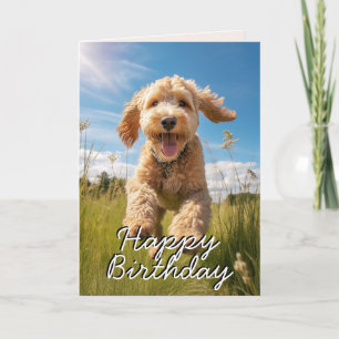 Custom Groodle Birthday Card Dankeskarte