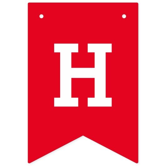 Custom Happy Birthday Party Bunting Banner Flags (Zweite Fahne)