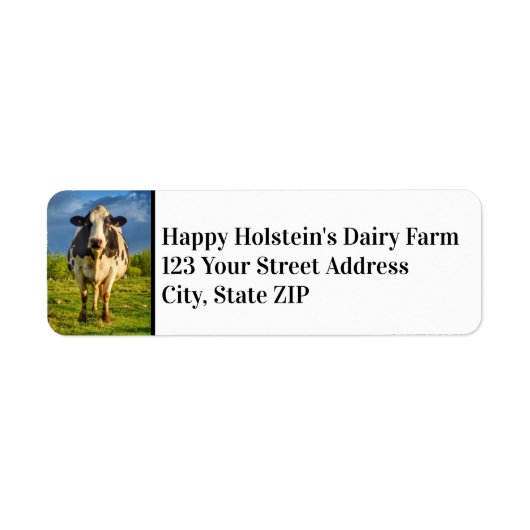 Custom Holstein Cow Business (Vorne)