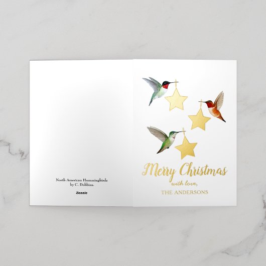 Custom Hummingbird Christmas (Äußere Ablage)