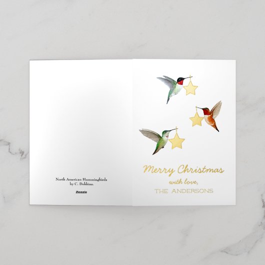 Custom Hummingbird Christmas (Äußere Ablage)