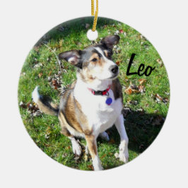 Custom Hund Ornament