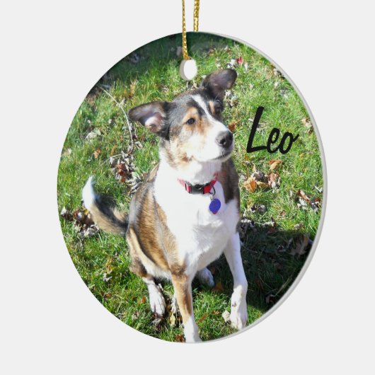 Custom Hund Ornament (Links)