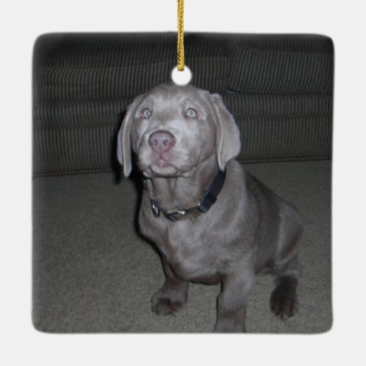 CUSTOM I Liebe mein Pitbuli Hund Keramikornament (Rückseite)