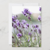 Custom Lavender Bohemische Hochzeitseinladungen Einladung (Rückseite)