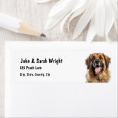 Custom Leonburger Dog Address Label (Insitu)