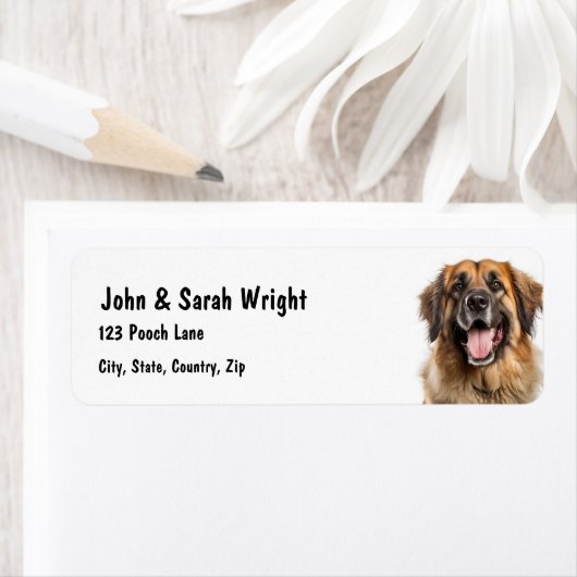 Custom Leonburger Dog Address Label (Insitu)