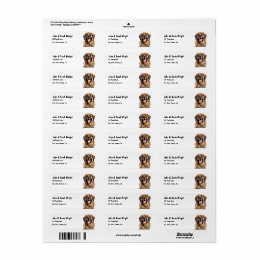 Custom Leonburger Dog Address Label (Vorne)