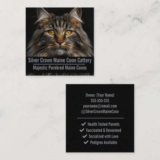 Custom Maine Coon Cattery Business Card  Quadratische Visitenkarte (Vorne/Hinten)