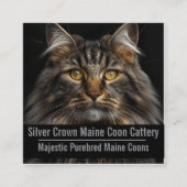 Custom Maine Coon Cattery Business Card  Quadratische Visitenkarte (Vorderseite)