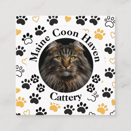 Custom Maine Coon Cattery Square Business Card  Telefonnummerkarte (Vorderseite)