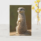 Custom Meerkat Birthday Card Karte (Gelbe Blume)