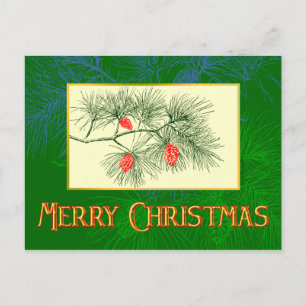 Custom Merry Christmas Green Pine Postcard Feiertagspostkarte