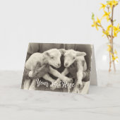 Custom Message Vintag Twin Lambs Karte (Gelbe Blume)