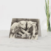 Custom Message Vintag Twin Lambs Karte (Vorderseite)