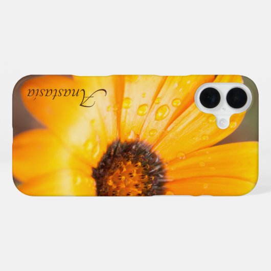 Custom Name Orange Daisy Close-Up Photo iPhone Hülle (Rückseite (Horizontal))