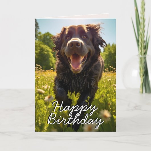 Custom Newfundland Happy Birthday Card Dankeskarte (Vorderseite)