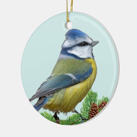 Custom Niedlich Blue Yellow Bird Foto Ornament (Links)