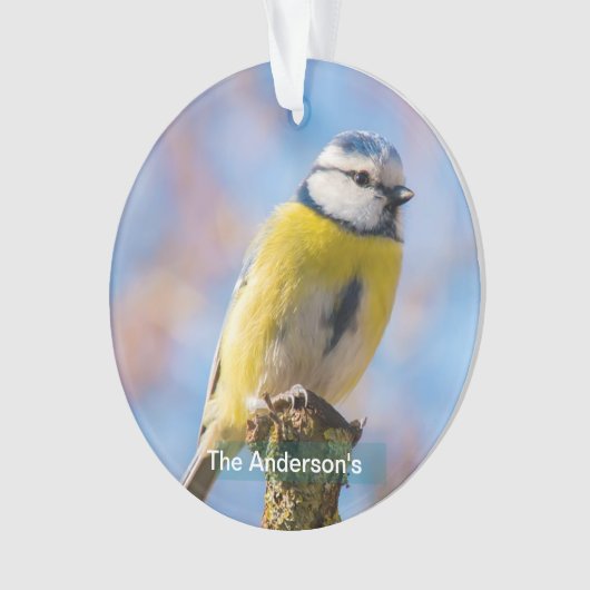 Custom Niedlich Blue Yellow Bird Foto Personalisie Ornament (Vorderseite)
