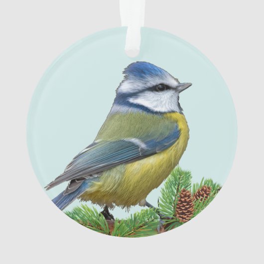 Custom Niedlich Blue Yellow Bird Foto Personalisie Ornament (Rückseite)