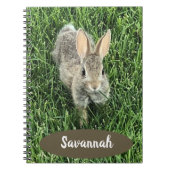 Custom Niedlich Cottontail Bunny Notizblock (Vorderseite)