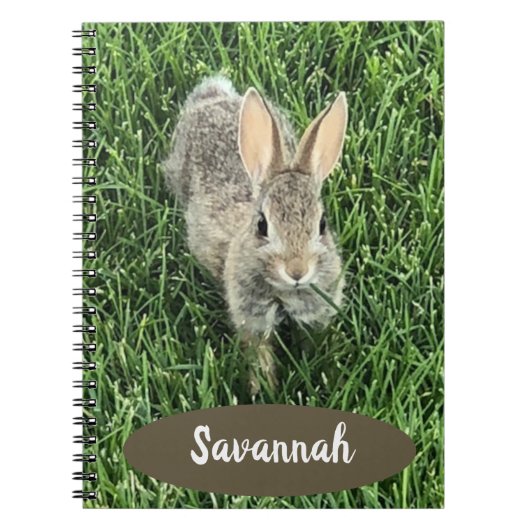 Custom Niedlich Cottontail Bunny Notizblock (Vorderseite)