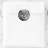 Custom Niedlich Gray kitty Cat Foto Runder Aufkleber (Tasche)