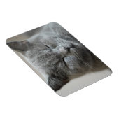 Custom Niedlich Grey Kitty Face Foto Magnet (Rechte Seite)