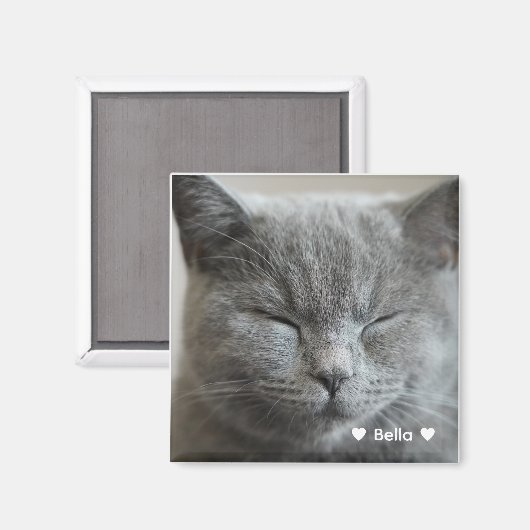 Custom Niedlich Grey Kitty Face Foto Magnet (Vorderseite/Rückseite)